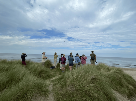 People looking out to sea