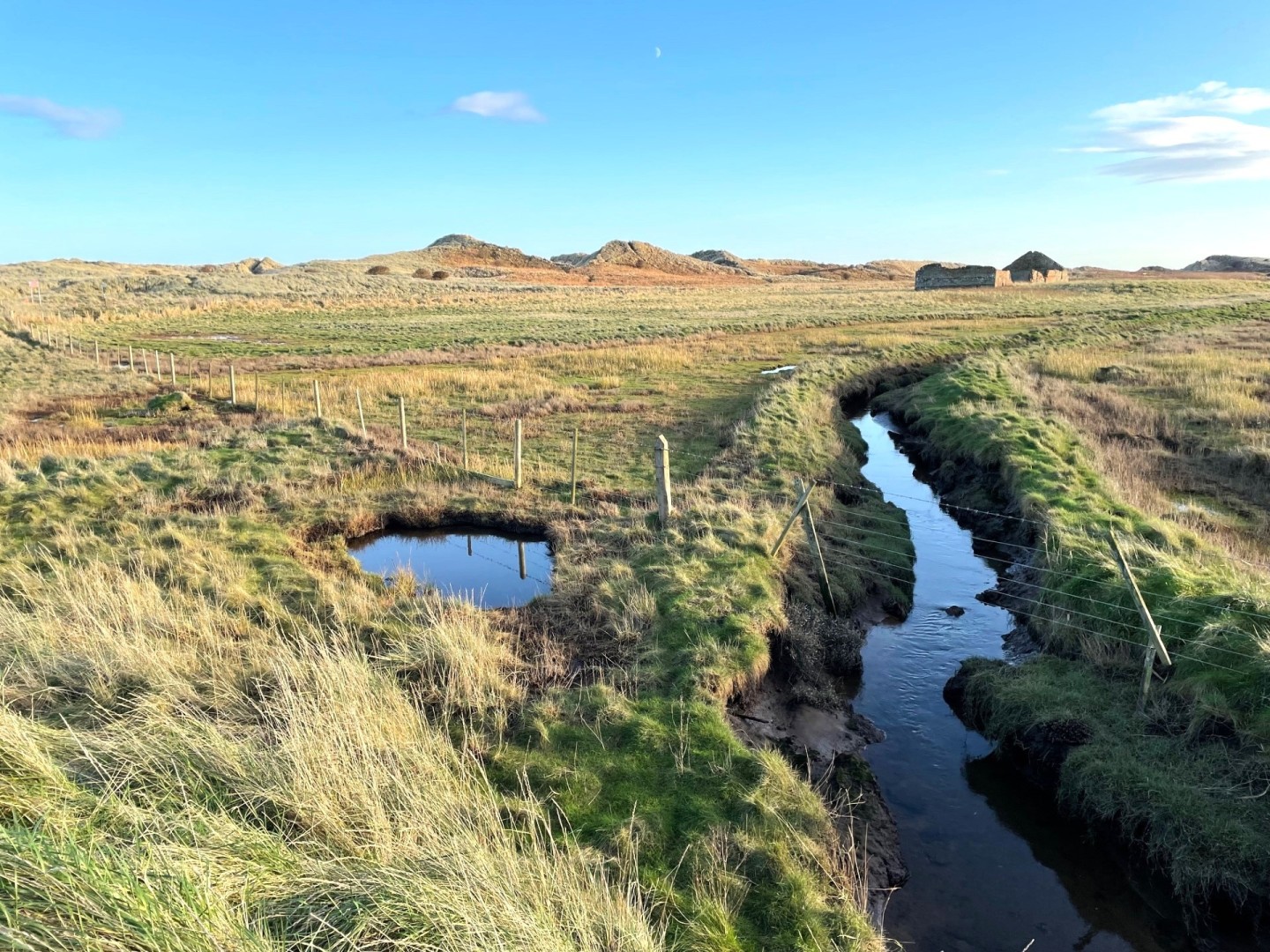 Buston Links near Alnmouth, Northumberland