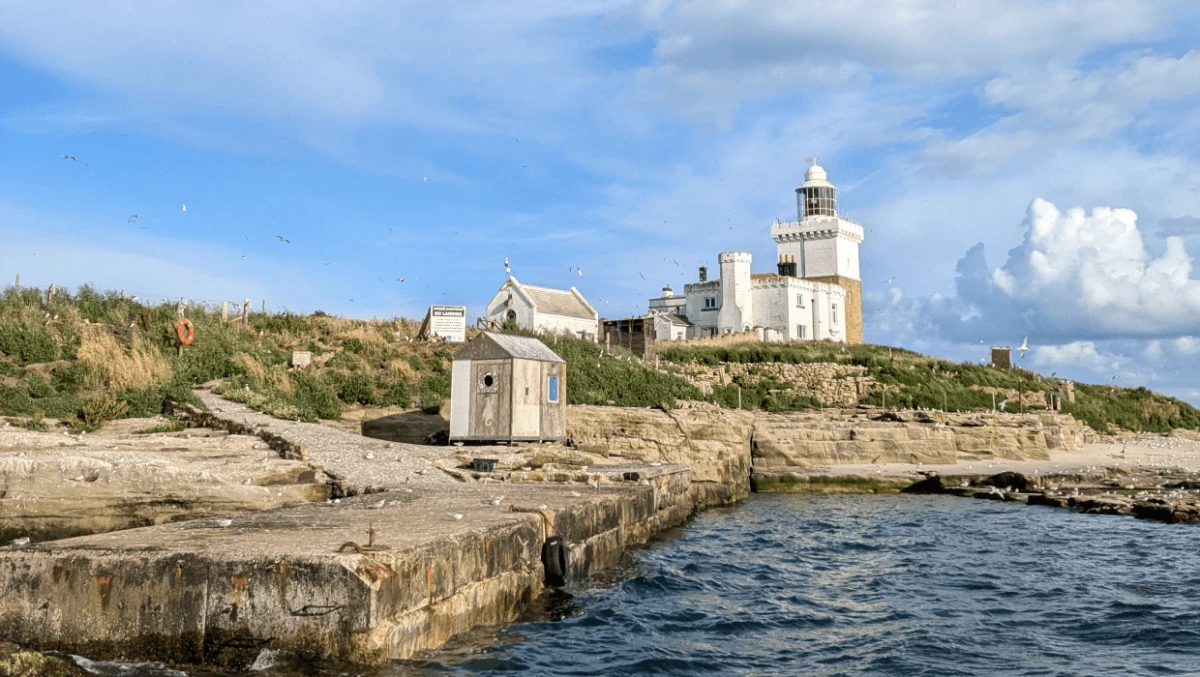 Coquet Island