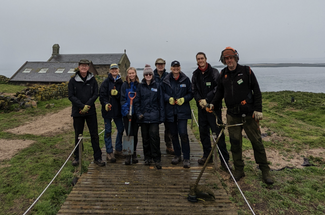 Conservation Team volunteers on Inner Farne