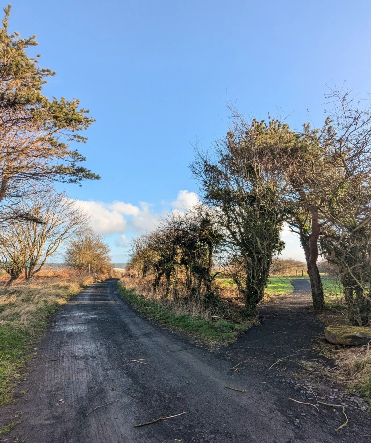 Path at Warkworth Dunes