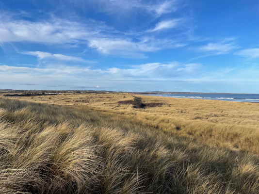 Warkworth Dunes