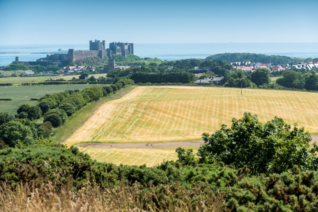 Bamburgh farmland