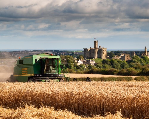 Farmland with Warkworth Castle in the background