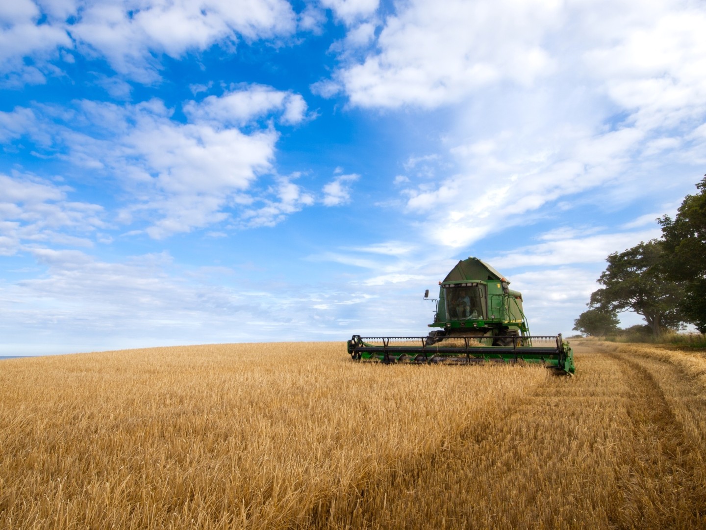 Combine harvester in a field