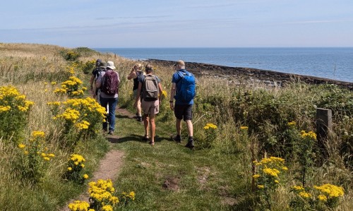 Walkers on the coast path