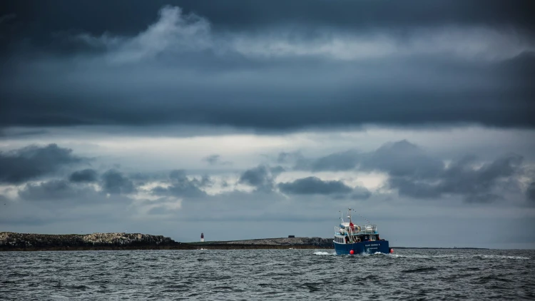 Boat to Farne Islands