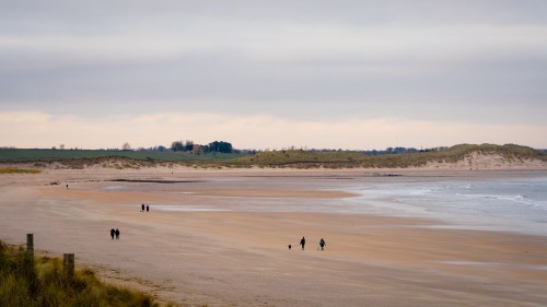 People walking along the beach