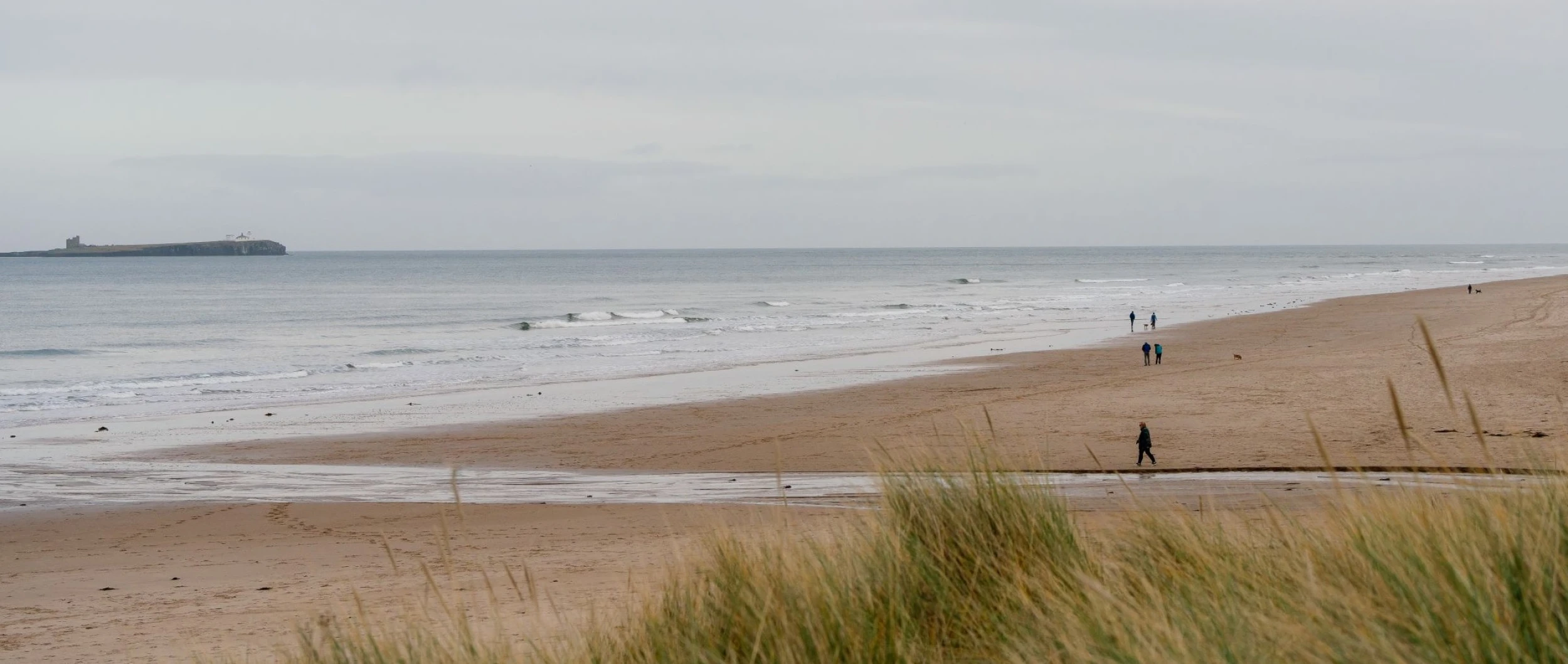 Sand dunes with green grass