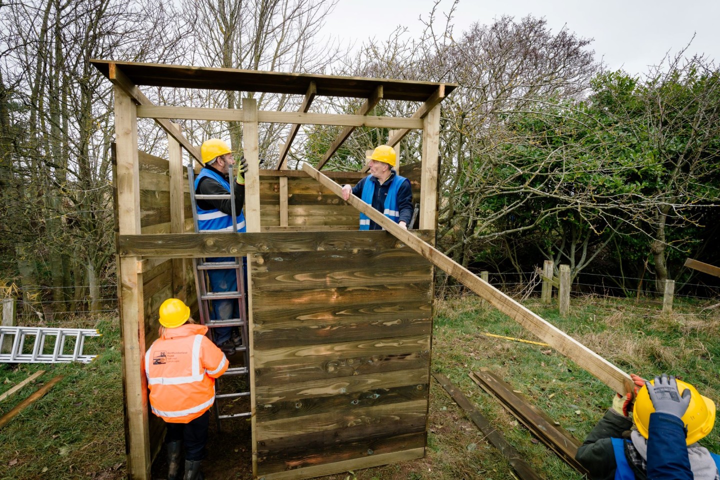 People building a barn owl shed