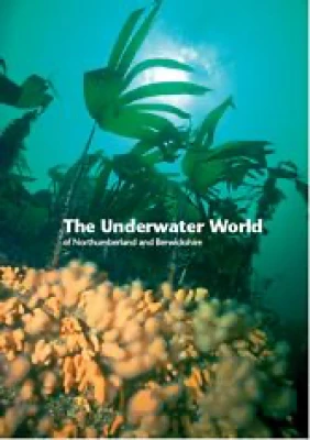 The Underwater World of Northumberland and Berwickshire